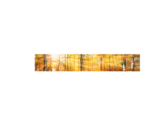 Echtglas-Rueckwand-Herbststimmung